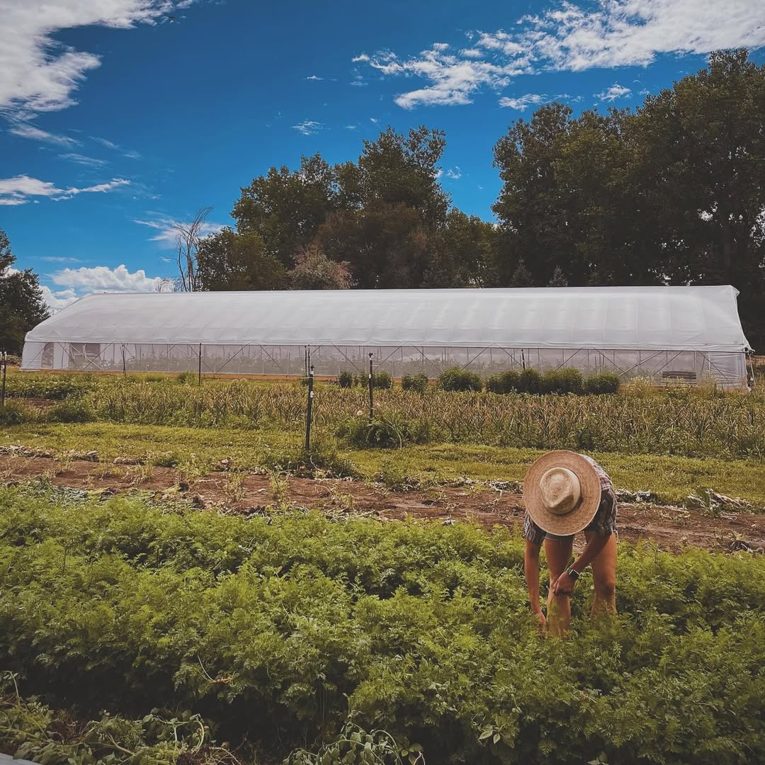 30' Wide Hoophouse