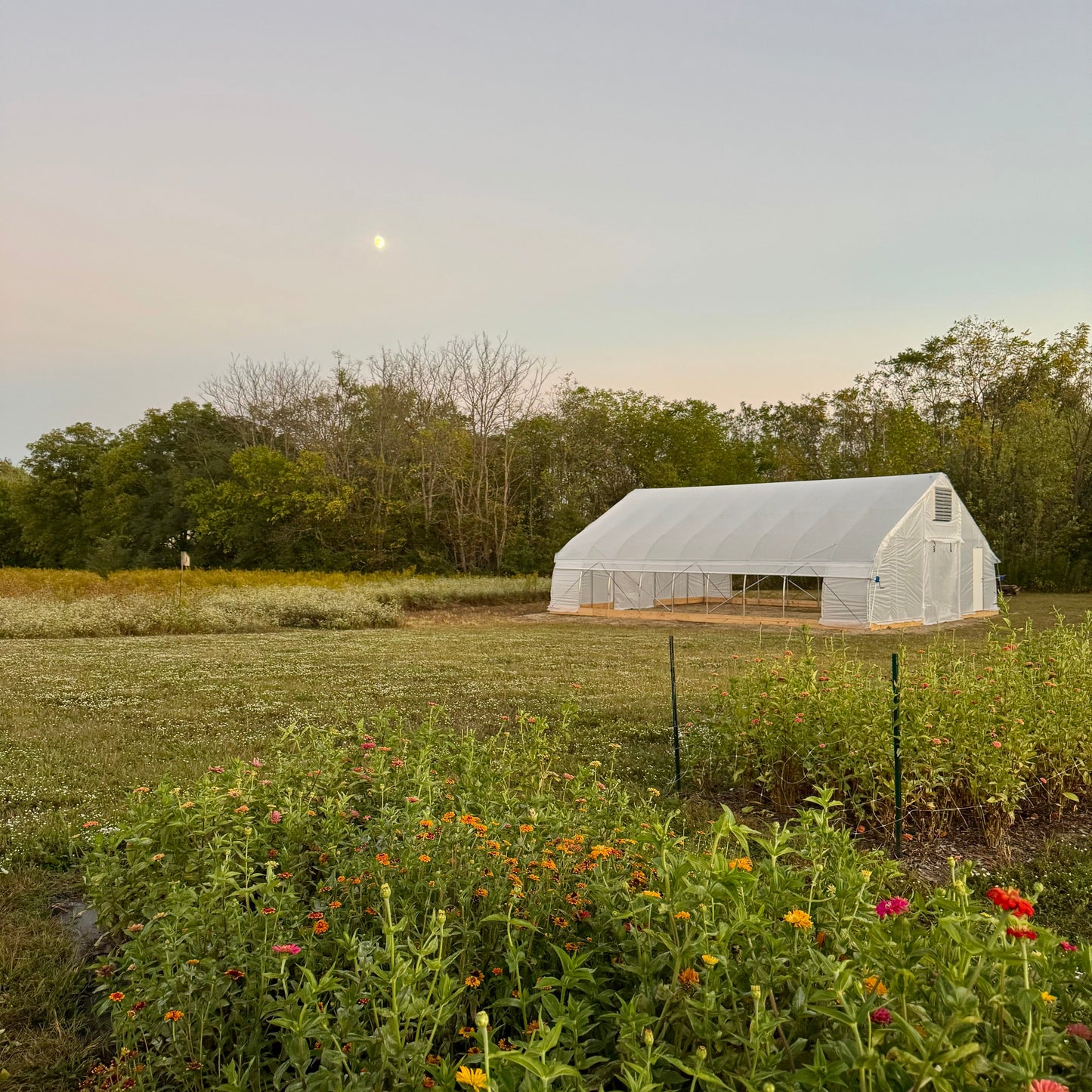 30' Wide Hoophouse