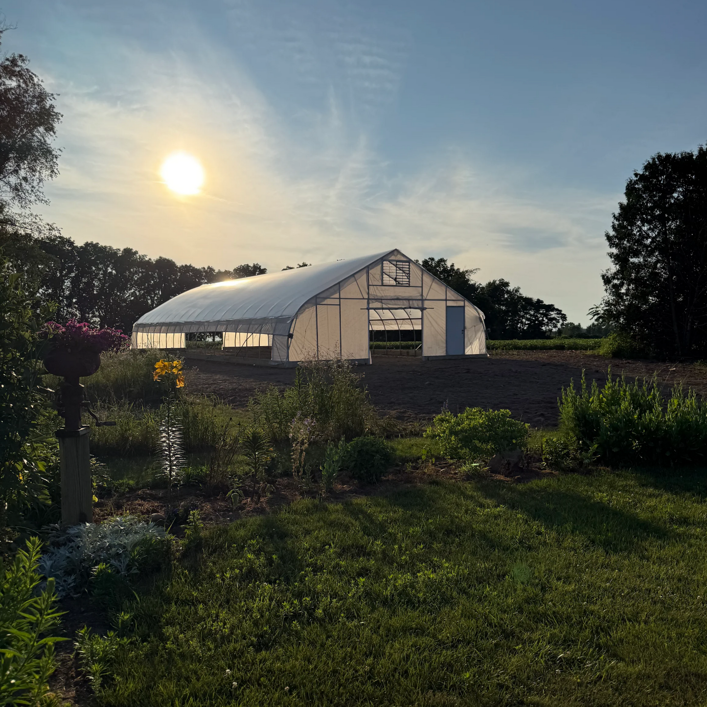 30' Wide Hoophouse