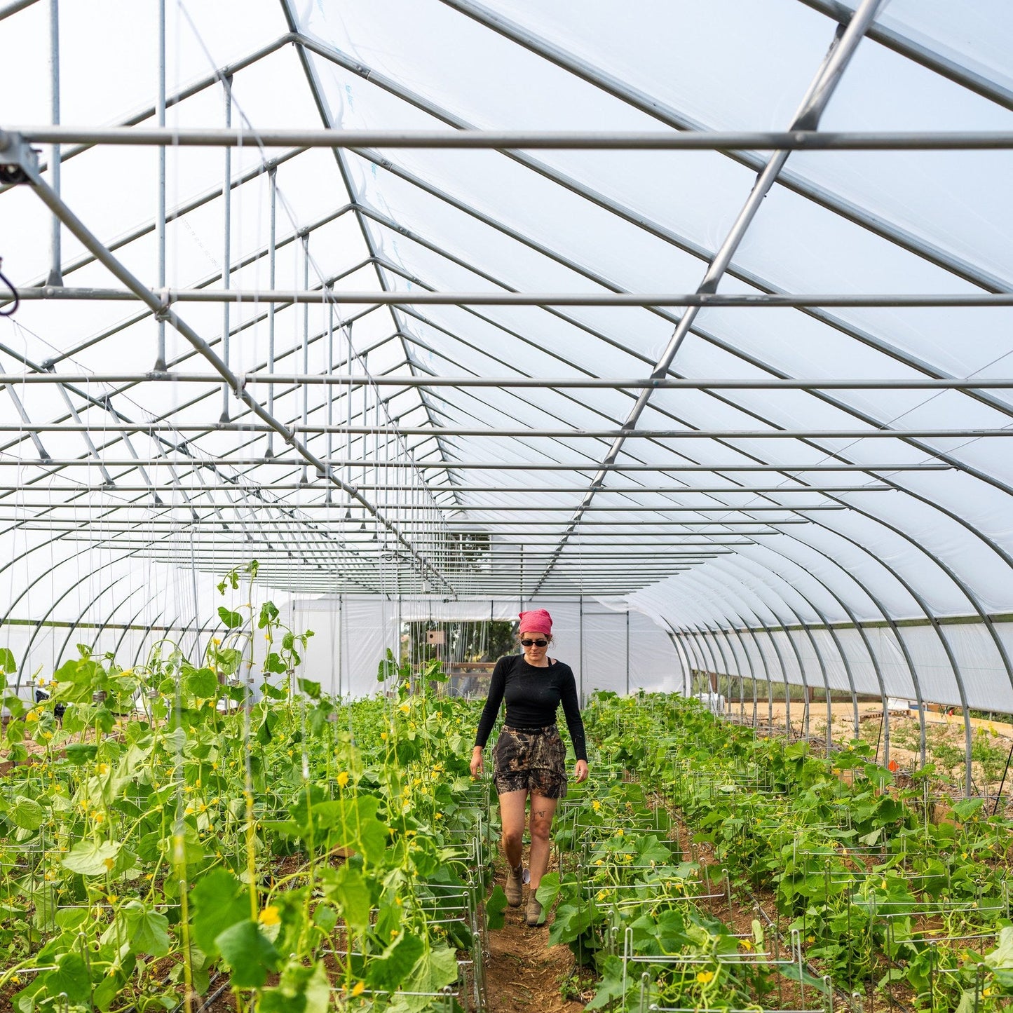 30' Wide Hoophouse