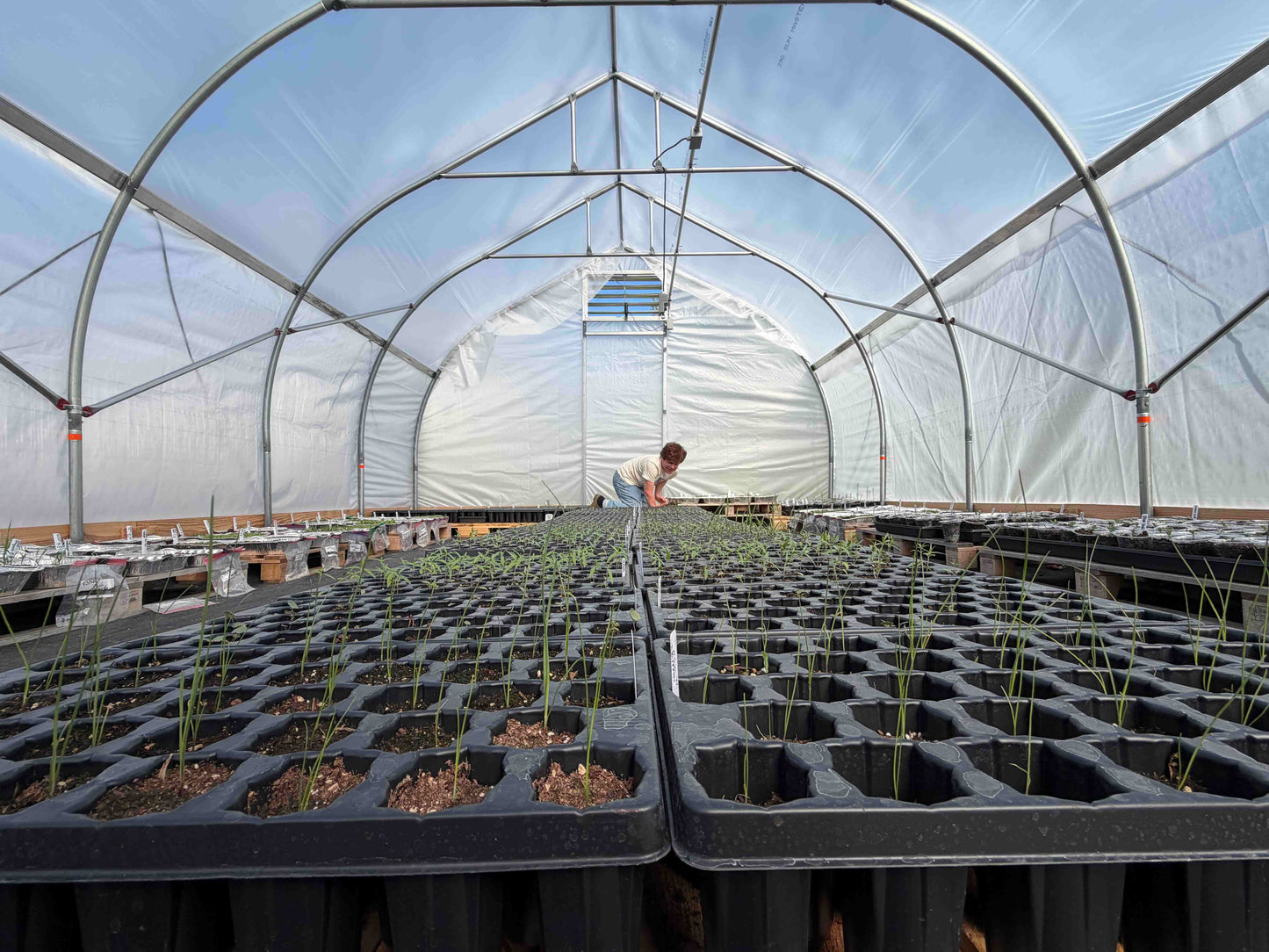 16' Wide Hoophouse