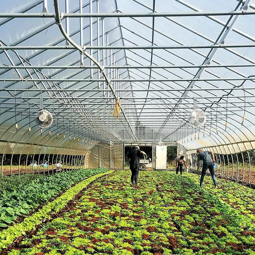 Overhead Irrigation Upgrade