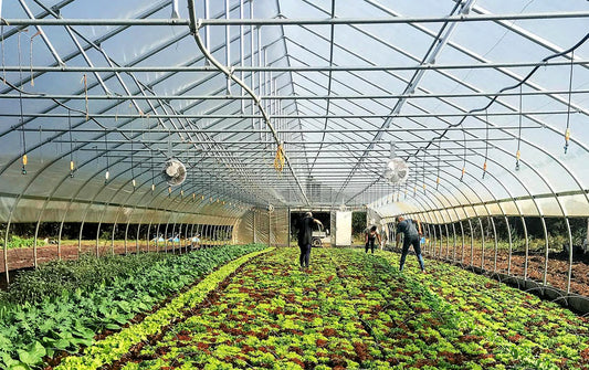 Overhead Irrigation Upgrade