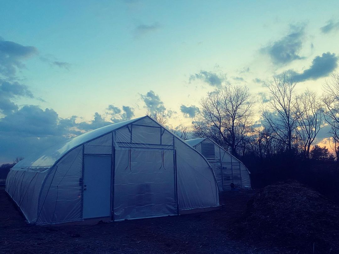 Replacement Endwall Plastic for 22.5'-Wide Gothic Hoophouse - reinforced woven poly