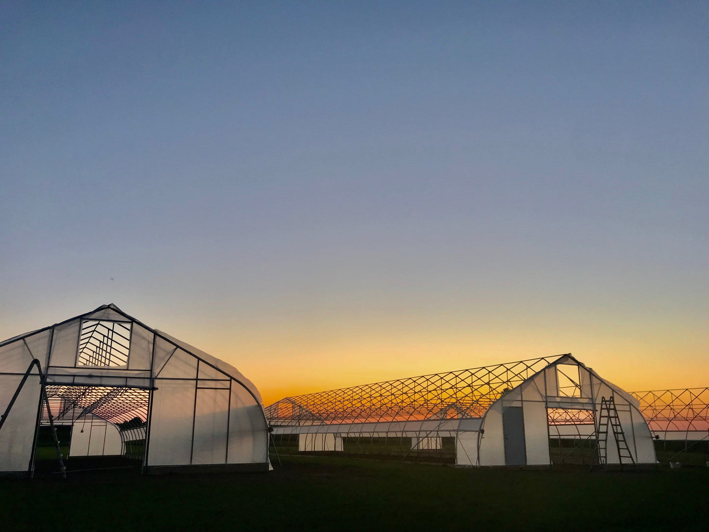 Replacement Endwall Plastic for 30'-Wide Gothic Hoophouse - reinforced woven poly